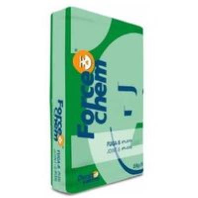 Forcechem - Fuga Flex Silikonlu Derz Dolgusu - 1 Palet : 72 Adet